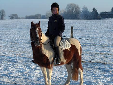 Anden særlig race Prins af Lungeskov  - Min start pony prins og jeg, her er jeg 11 år. billede 1