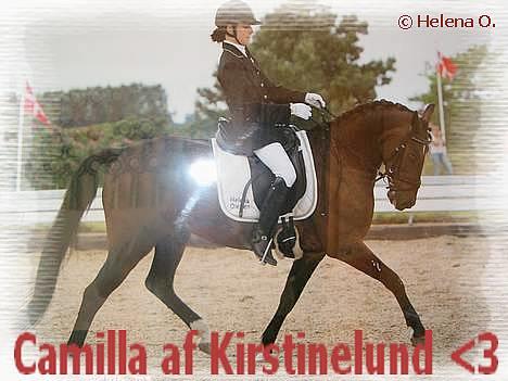 Knabstrupper Camilla af Kirstinelund - Camilla og mig til sydjysk mesterskab hvor vi blev nummer 5 :D billede 1