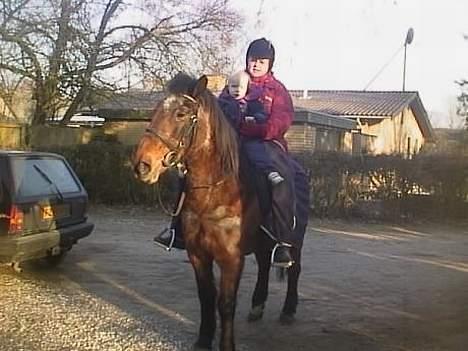 Anden særlig race Rollo † 2004 † billede 14