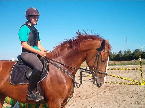 Hollandsk Varmblod (DV) Ulrike-Lien - RIP - Ulrike og charlotte billede 7