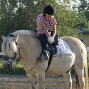 Anden særlig race lasse