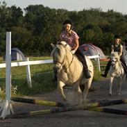 Anden særlig race lasse