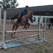 Anden særlig race Spiderman