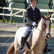 Anden særlig race Spiderman