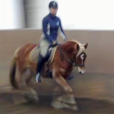 DSP Hedens Malcon SOLGT