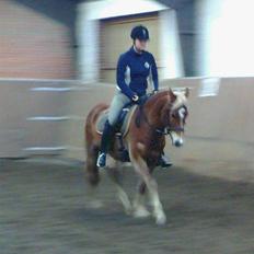 DSP Hedens Malcon SOLGT