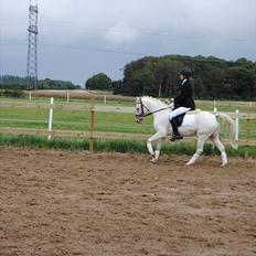 Anden særlig race |Kenzo|