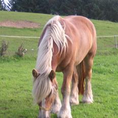 Jyde Troja R.I.P 18/10-2010