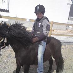 Anden særlig race Baluge SOLGT