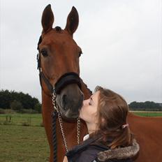 Anden særlig race Imagin Spot Morsbøl(Aflivet)