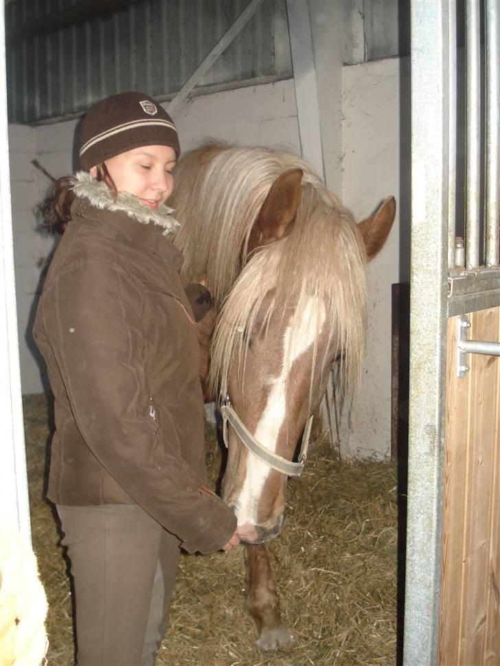 Anden særlig race Fischer af Mønstergården - Fischer i sin nye boks sammen med sin lykkelige ejer 25/03-09 billede 11