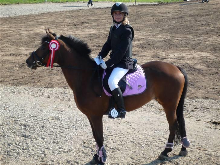 Welsh Pony (sec B) Wanda solgt :´( billede 6