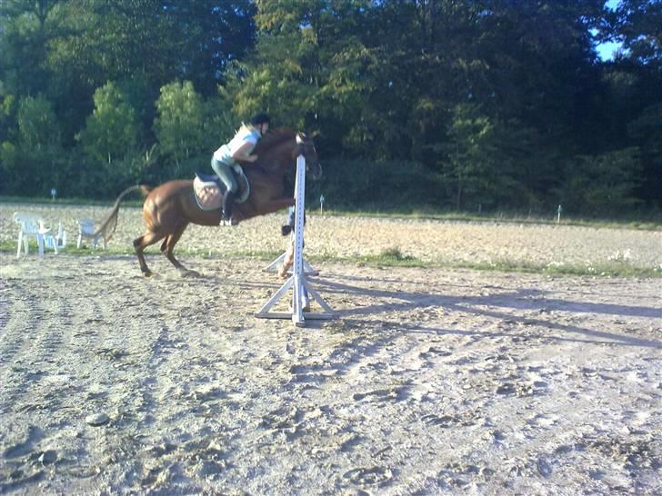 Fuldblod (XX) **Refreshment** R.I.P - JIIIIIHHHAAAA! HOPLA billede 13