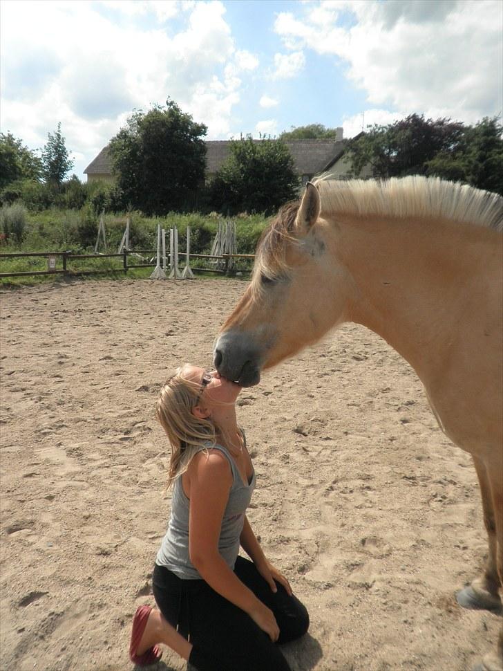 Fjordhest Misja  ( Første pony) - et kys fra mig som er til dig, fordi du er min ven, mit ALT min hest, min sjæl!<3<3<3 jeg lever i dig du lever i mig ! <3 billede 16
