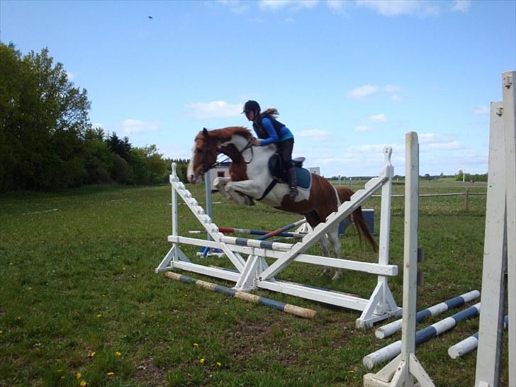 Anden særlig race Bailey - best friends ever billede 19