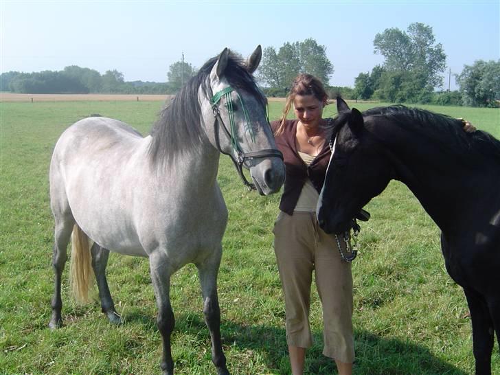 Cruzado Ballerina - Gammelt sommerbillede af Ballerina og Chahr billede 8
