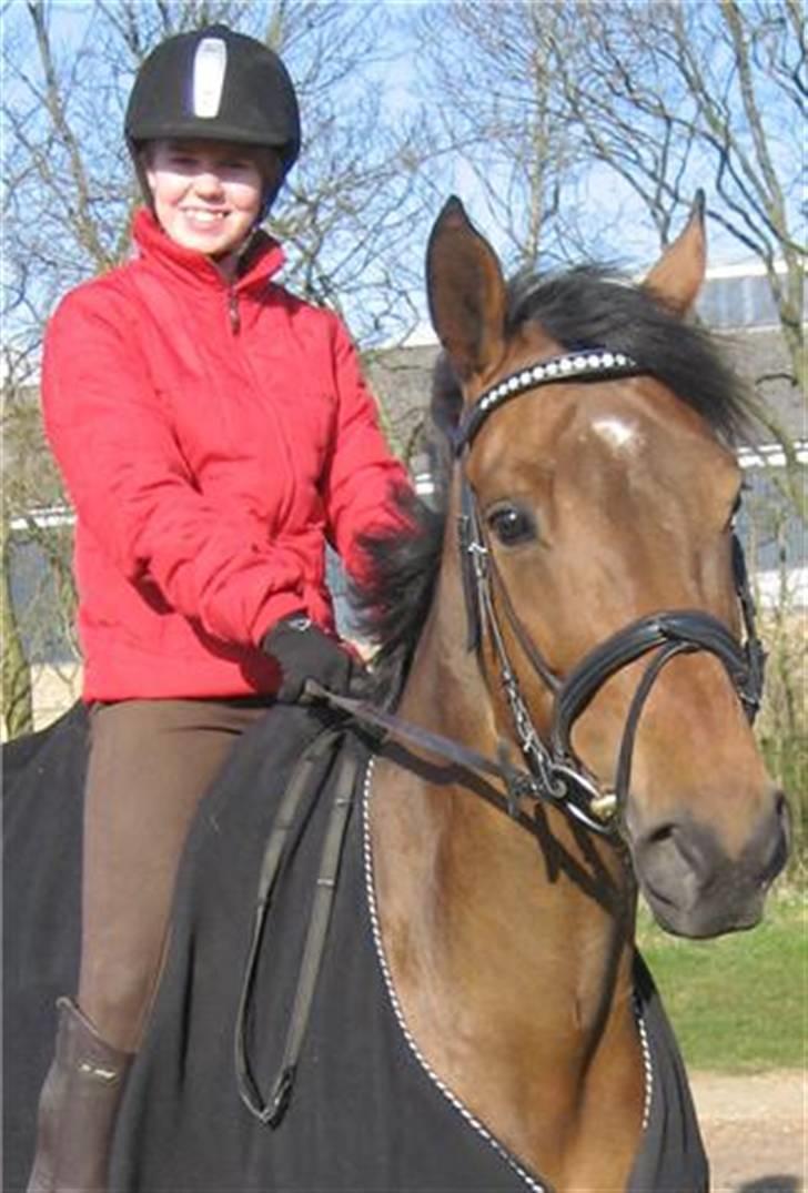 Dansk Varmblod Vistahl Finesse - Uuuh, det er efterår og blæser en halv pelikan. billede 8