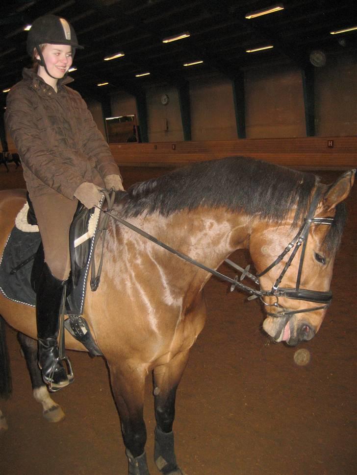 Dansk Varmblod Vistahl Finesse - Finesse stikker tungen ud billede 12