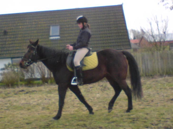 Traver Vanderbilt *helpart* - » bedste veninden prøver (; - fint i to! billede 17