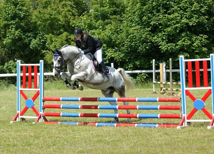 Anden særlig race Leifi  - Spring cup d. 21 Juni 2009 Foto: Emily billede 3