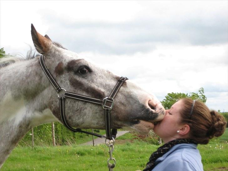 Anden særlig race Leifi  - Leifi har lært at kysse på komando ;D Foto: Emma Sonja billede 14