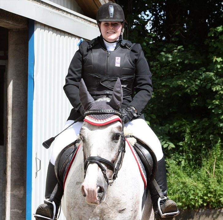 Anden særlig race Leifi  - Spring Cuppen 2010 Foto: Emma Sonja billede 15