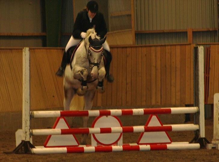 Anden særlig race Leifi  - Elevstævne d. 30. maj 2010 - Fejlfri i 80 cm ;) Foto: Emma Sonja billede 17