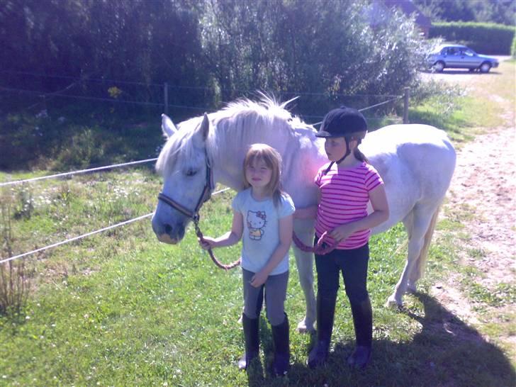 Anden særlig race Beauty - (solgt 2010) - Simone og Frederikke med Beauty. En af de første dage efter vi har fået hende. billede 1