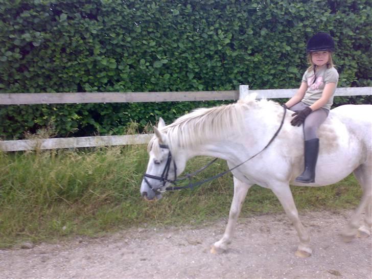 Anden særlig race Beauty - (solgt 2010) - Frederikke på Beauty billede 2