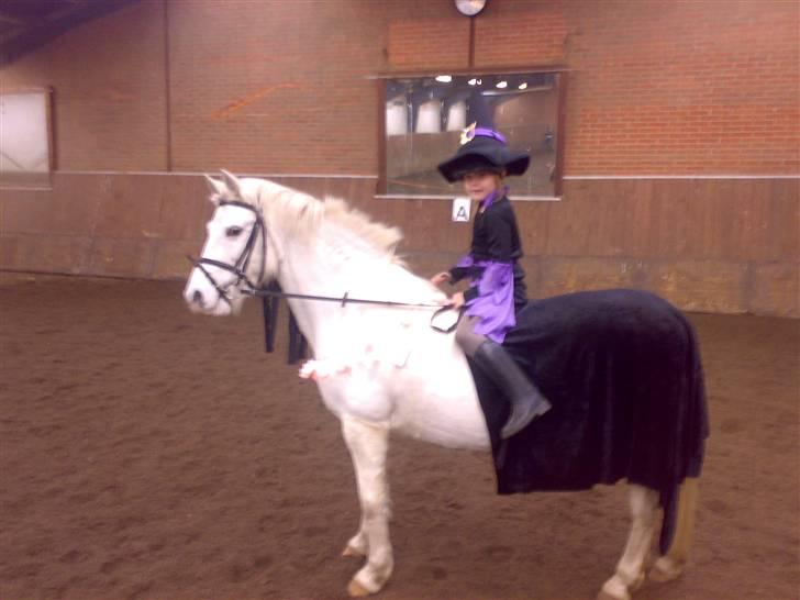 Anden særlig race Beauty - (solgt 2010) - heksene Frederikke og Beauty billede 4