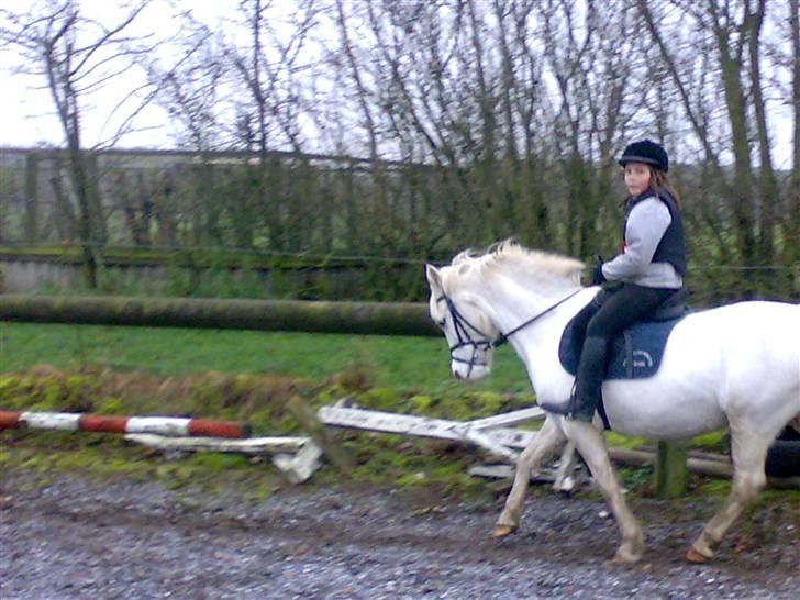 Anden særlig race Beauty - (solgt 2010) - Simone og Beauty billede 5