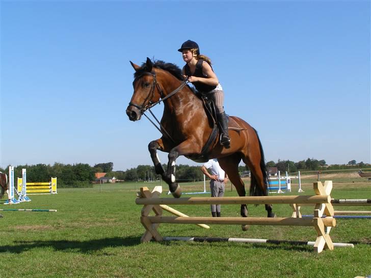 Dansk Varmblod Gørklintgårds Oliena - Igen :* billede 4