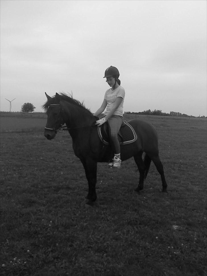 Anden særlig race Miss Topsy  - Sommeren 2010 :) billede 5