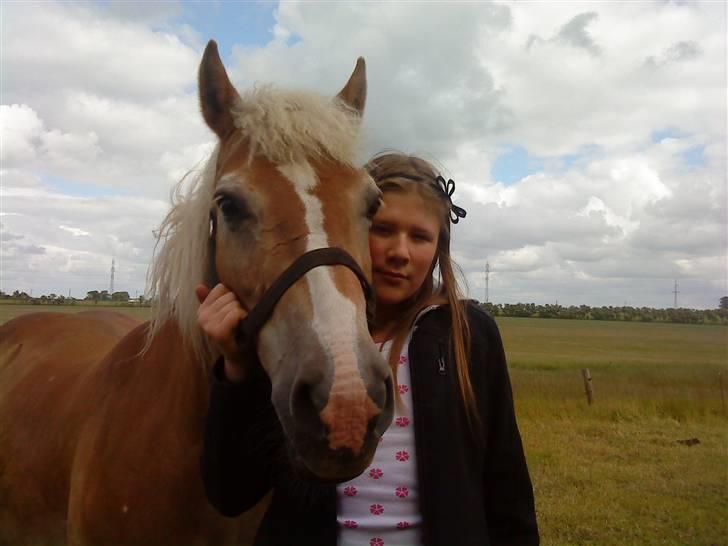 Haflinger Linette - Et billede af os helt tilbage fra 2009, kunne ikke få mig selv til at slette det, det betyder simpelthen så meget!♥ Jeg elsker dig Pony! Foto: Lillebror Nikolai billede 14