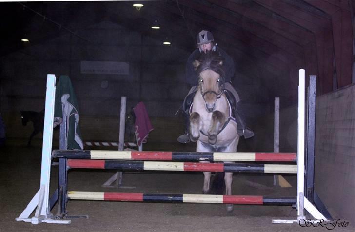 Anden særlig race Flora Danica - Flora og Nanna hopper Foto: Sarah R. billede 18