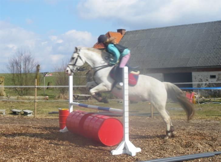 Anden særlig race chili - lidt træning hjemme hos os selv billede 14