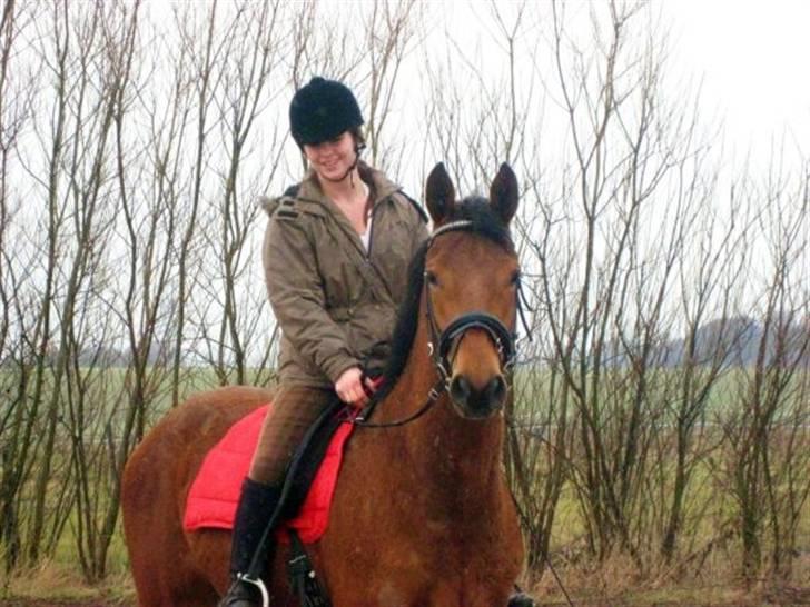 Anden særlig race Imagin Spot Morsbøl(Aflivet) - Min prins <3  billede 3