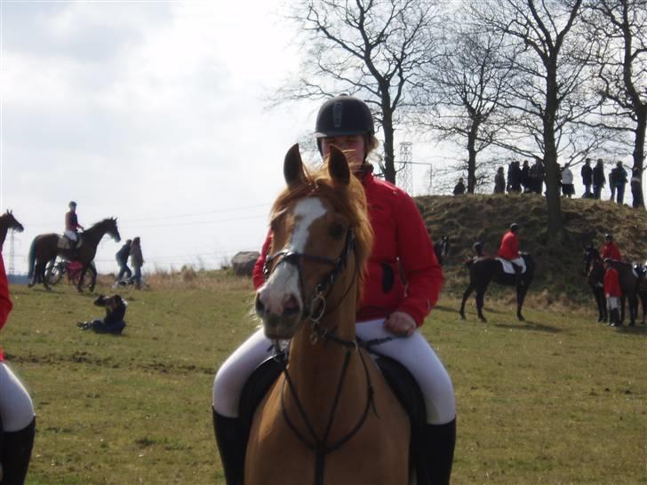 Anden særlig race Strejfer  - Babyjagt 2009 billede 11