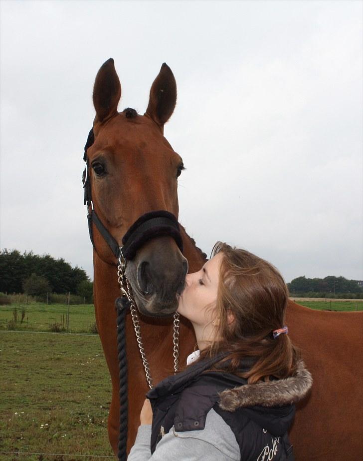 Anden særlig race Imagin Spot Morsbøl(Aflivet) - Fordi jeg elsker dig. billede 2