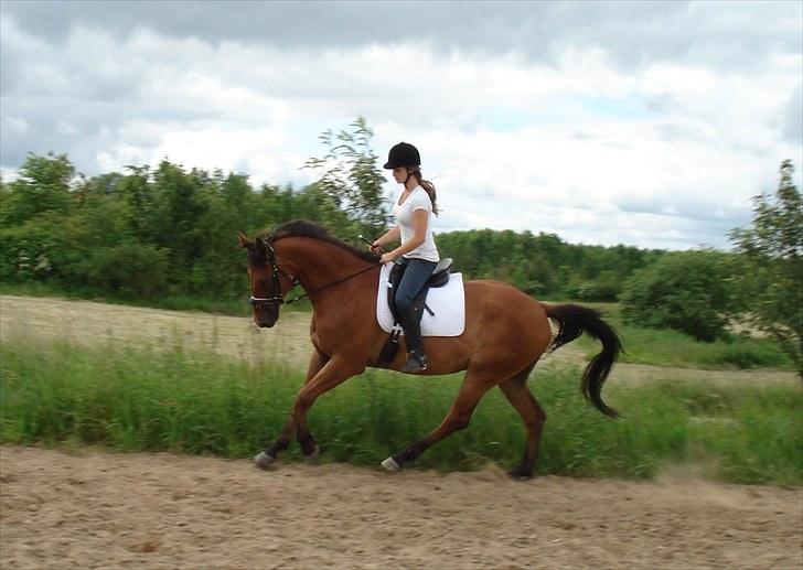 Anden særlig race Imagin Spot Morsbøl(Aflivet) - My beauty  billede 5