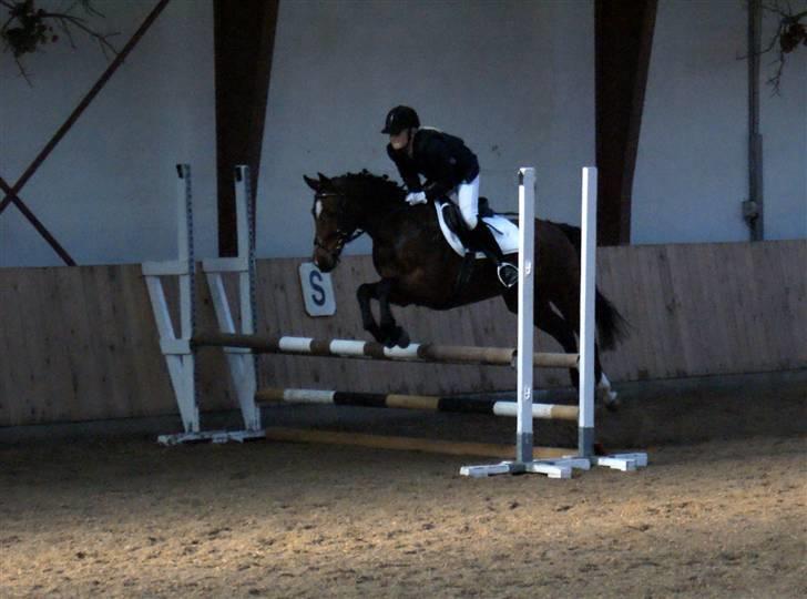 Anden særlig race Vanessa <3   - LC. Første plads, og første springstævne!:D<333 Fotograf: Nanna Krüger. billede 12