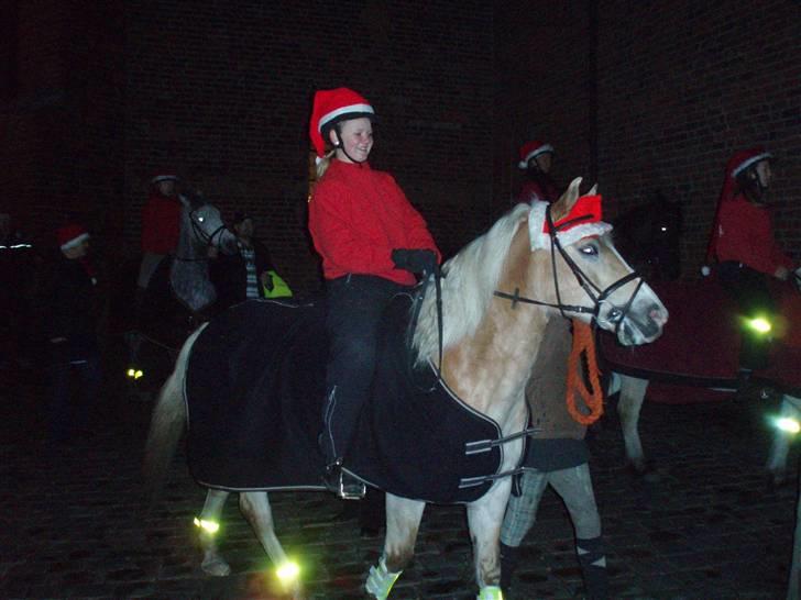Haflinger Nissan *solgt* - Juleoptog. Tak for hjælpen Nina (: billede 14