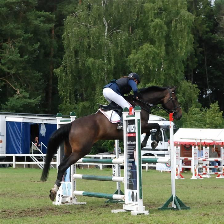 Westfaler Cincinnati - lidt mærkeligt billede :D Sisse og jeg til vores først stævne på Kallehavegaard <3 billede 3
