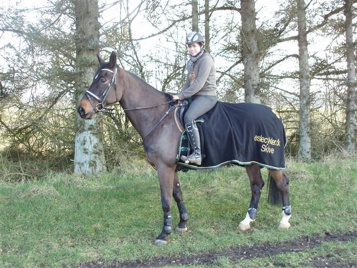 Westfaler Cincinnati billede 8