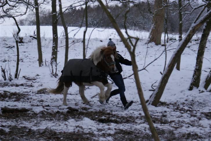 Anden særlig race Speedy - Mit alt.<3 - "Jeg stikker af" Men elsker dig stadig<3 Elsker dig for evigt<3<3 billede 3