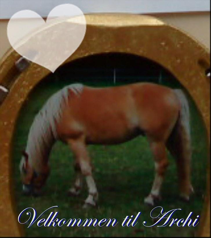 Haflinger Archi <3 - Velkommen til Archi! <3
Dette hestesko's billed ramme fik jeg i fødseldags gave af Archi og hans smed og ejer :D Er så GLAD for det ! billede 1