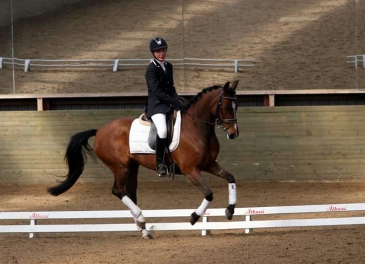 Tysk Sportspony Loony 3 *solgt* billede 12