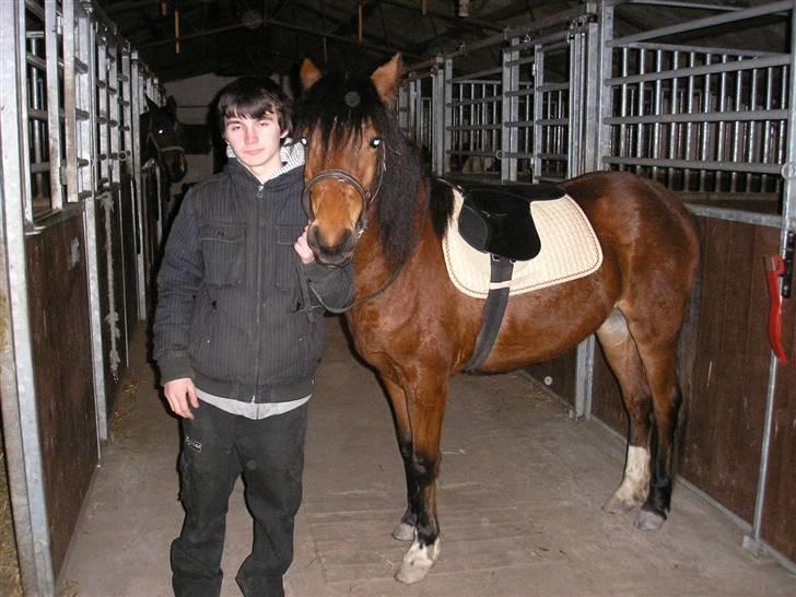 Anden særlig race Sperlings Amber - Min kæreste holder Amber. Taget i Marts 2009 billede 8