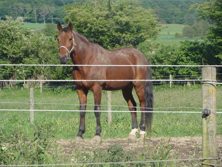 {{currentPhoto.altText}} billede {{currentPhoto.number}}