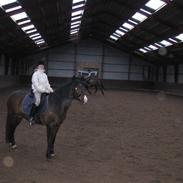 New Forest Yara<3 tid. part: